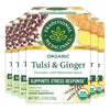 Traditional Medicinals Organic Tulsi Ginger Herbal Tea, 16 Count (Pack of 6), Natural Flavor, TBRO-Parent