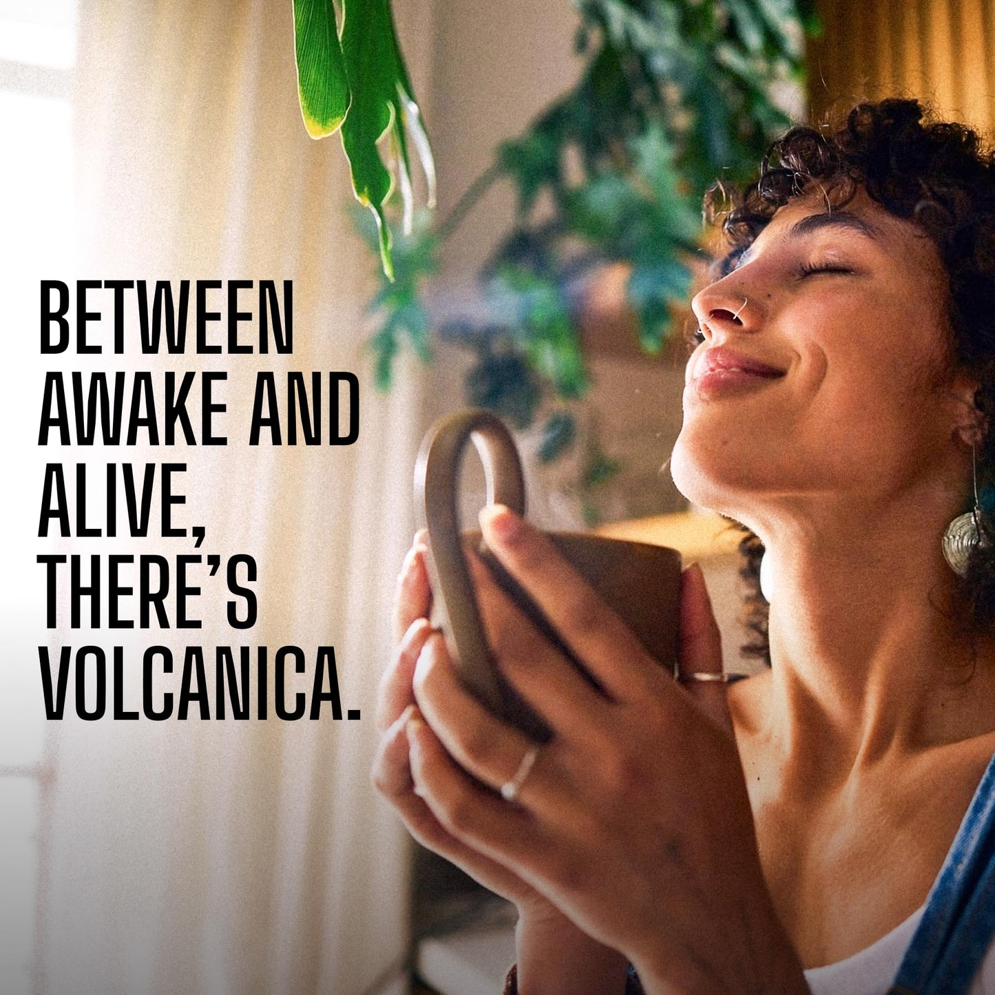 Volcanica Coffee Half Caff Whole Bean, Swiss Water Decaf, 16 oz, Brown