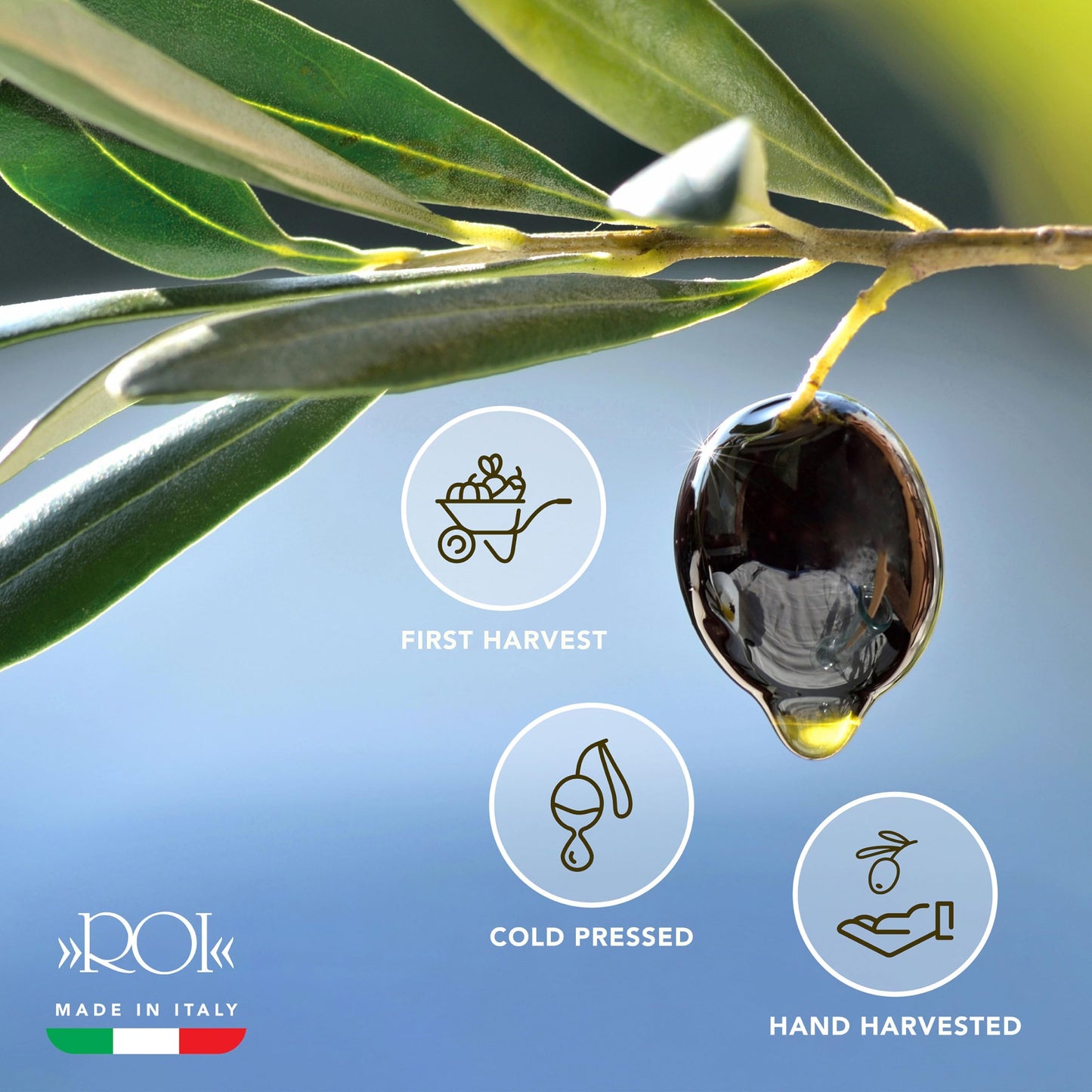 ROI Extra Virgin Olive Oil - First Cold Pressed, Polyphenol Rich, 34 fl oz - Italian Olive Oil Green