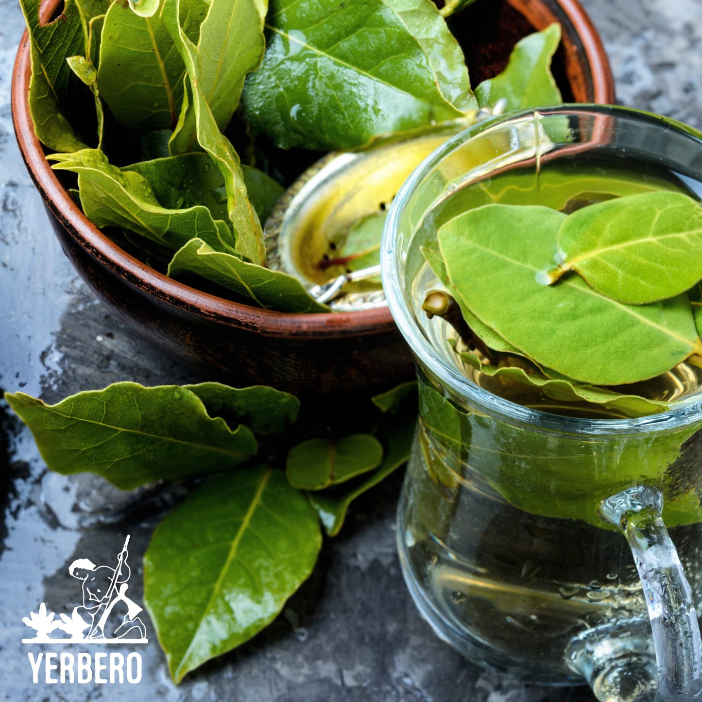 YERBERO Dried Avocado Leaf - Aromatic, Strong Smell, 2 oz (56g), 100% All Natural, Non-GMO, Gluten-Free