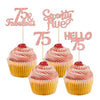 Gyufise 24Pcs Rose Gold Glitter 75 Cupcake Toppers 75Th Birthday Cupcake Toppers Hello 75 Seventy Five 75 Cake Toppers 75 Fabulo