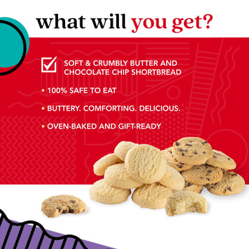 Davids Cookies Get Well Soon Cookie Gift Basket - Gourmet Bakery Dessert Gift For Recovery, Comfort And Appreciation Occasions - Shortbread Cookies Sweet Sampler Tin