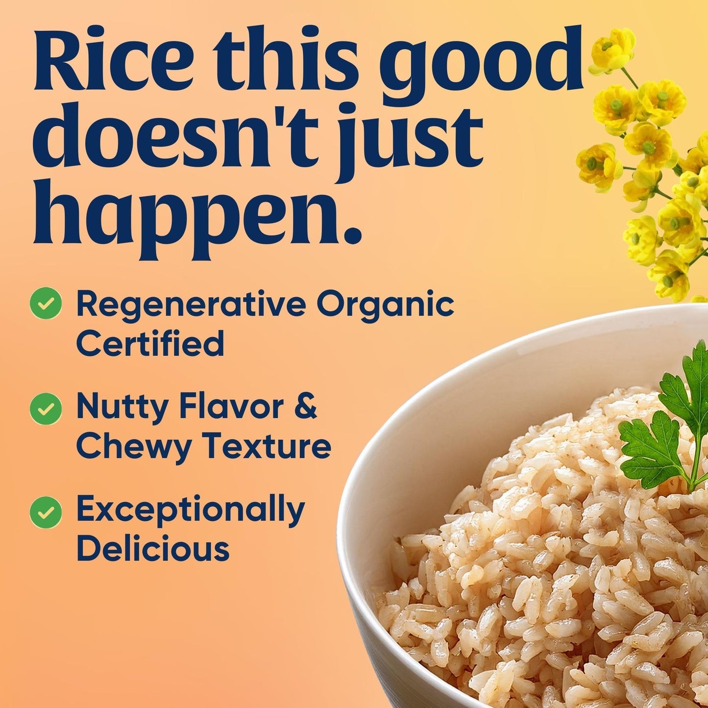 Lundberg Short Grain Brown Rice, Regenerative Organic Certified, Slightly Nutty, 32 Oz, California Grown
