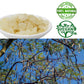 Dol Dried Natural Malaysia Snow Swallow Gum Gleditsia Sinensis 清熱潤肺 排毒養顏 Aaa級精選 野生雙莢皂角米 雪蓮子 (8.00)