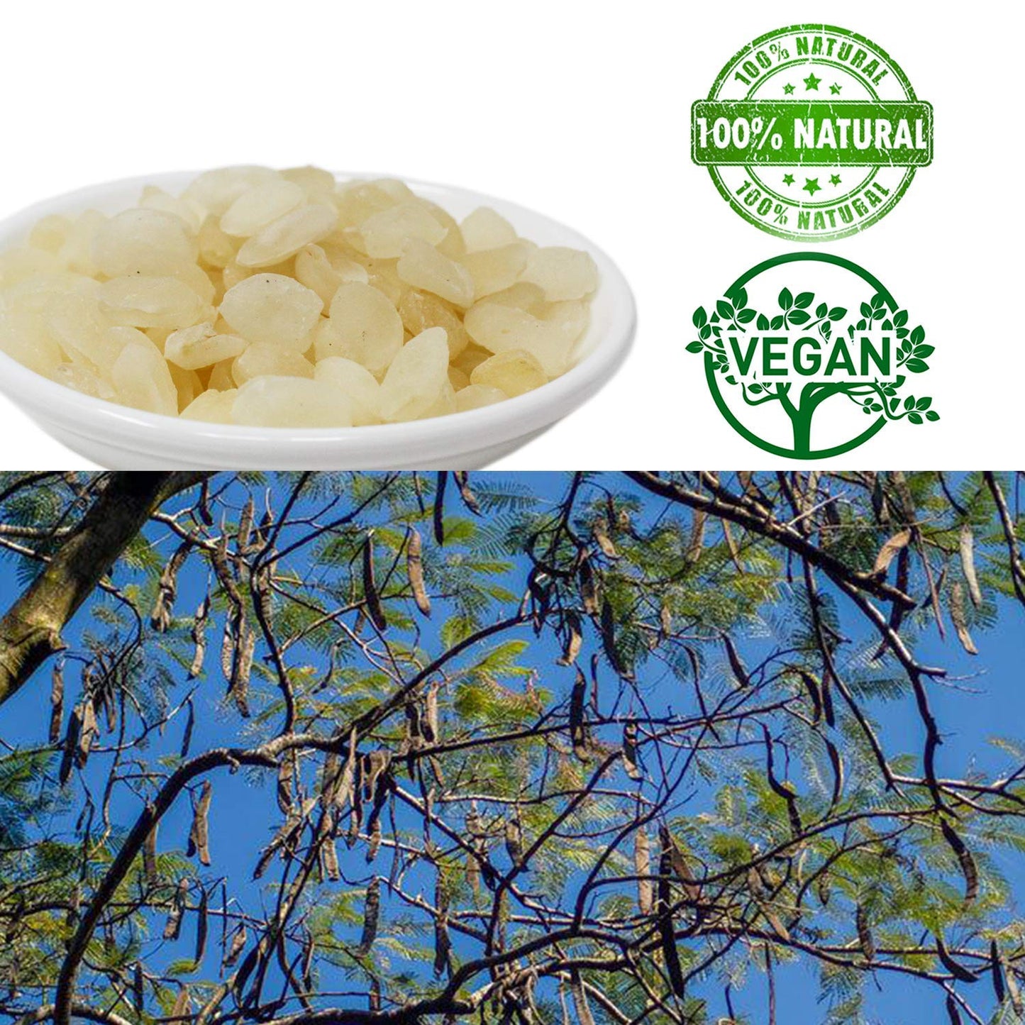 Dol Dried Natural Malaysia Snow Swallow Gum Gleditsia Sinensis 清熱潤肺 排毒養顏 Aaa級精選 野生雙莢皂角米 雪蓮子 (8.00)