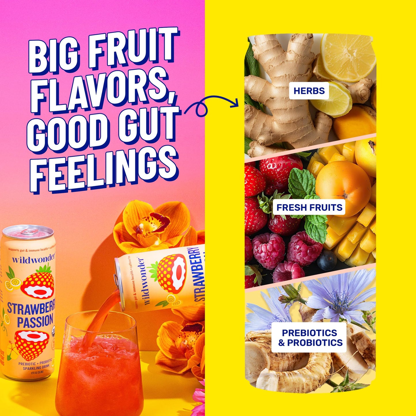 Wildwonder Sparkling Probiotic Juice Drink, Tropical Vibes Variety Pack, 12pk 12oz, Organic, Vegan, Low Sugar, Caffeine Free