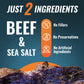 Phillips Beef Crisps - Brisket - Only Beef & Salt - Zero Carbs - Zero Sugar - High Protein Meat Snacks - 14g Protein