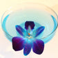 Sunne Tropical Fresh Orchid Loose Bloom Flowers 100 Blue, Model: orchidclub-bloom, Perfect for DIY Leis & Decorations