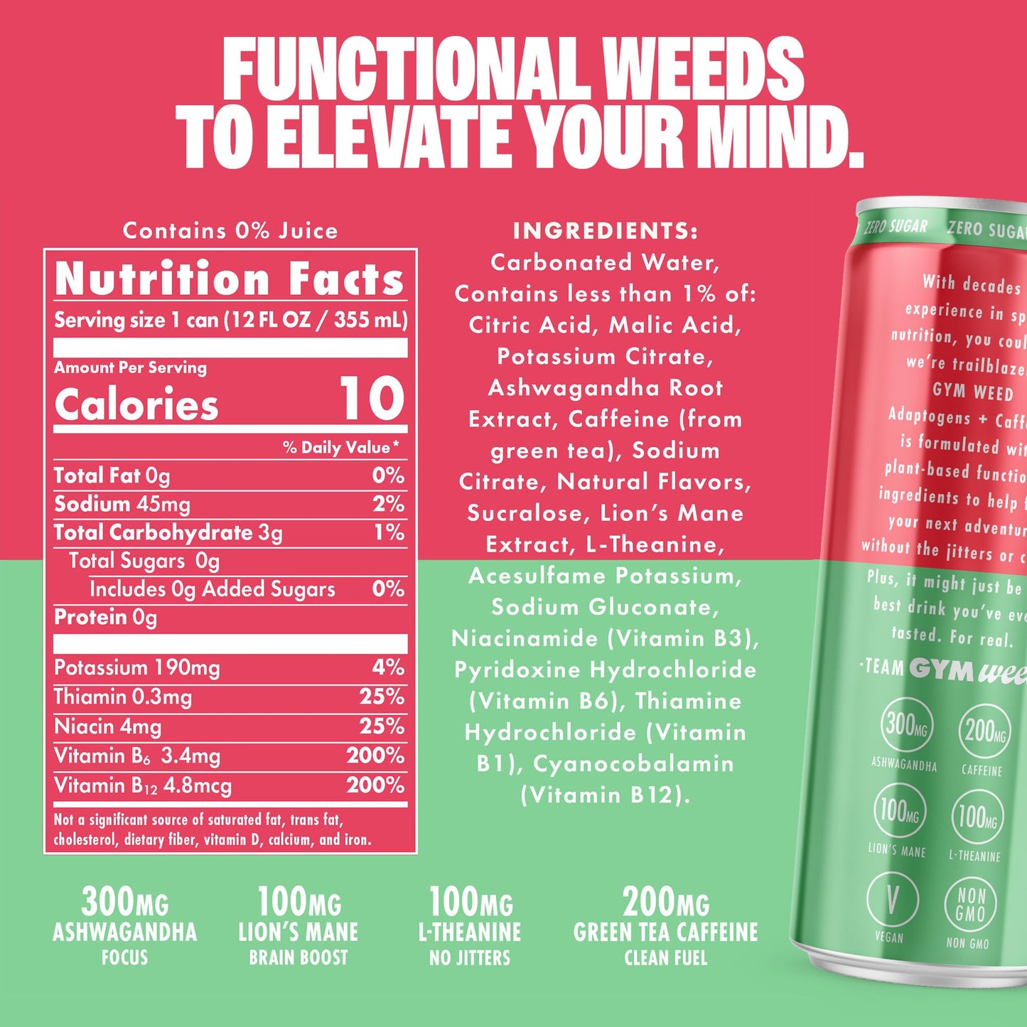 GYM   Athletic Focus Drink - KSM-66 Ashwagandha, Lions Mane, L-Theanine, 200mg Green Tea Caffeine, Rainbow Sherbet Flavor, 12 Pack
