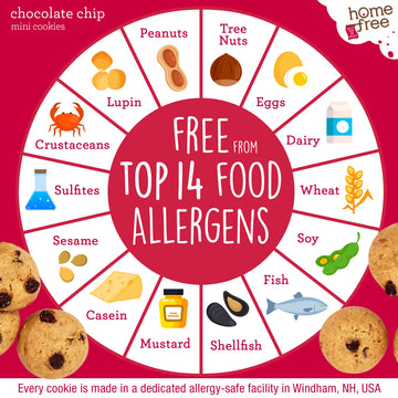 Homefree Treats You Can Trust Gluten Free Mini Cookies, Chocolate Chip, 5-Ounce (Pack Of 6)