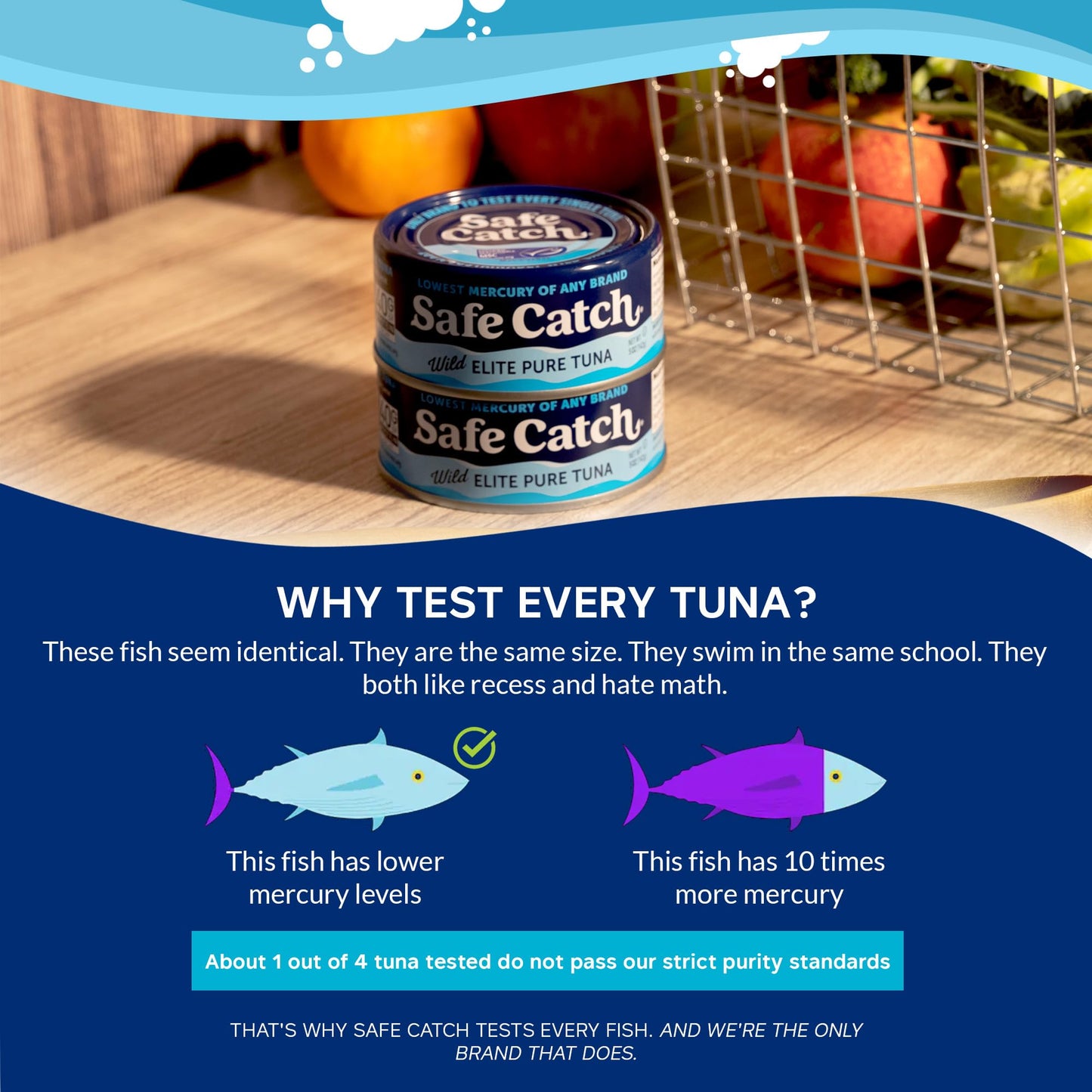 Safe Catch Wild Caught Canned Tuna, Gluten-Free, Non-GMO, 5oz Can, 12-Pack