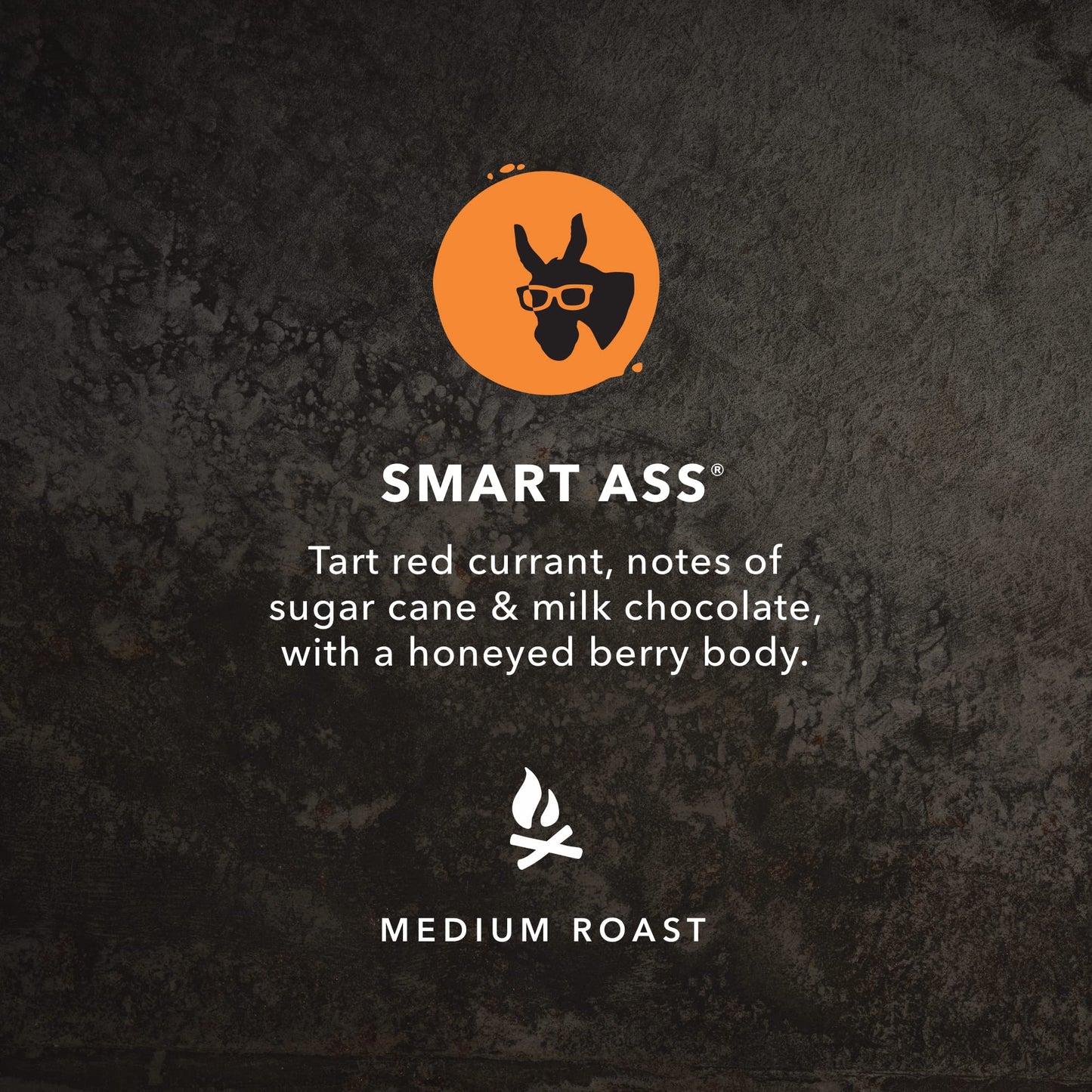 Kicking Horse Coffee Smart Ass Medium Roast Ground Coffee, Certified Organic, Fairtrade, Kosher, 10 Ounce