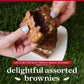 Davids Cookies Assorted Brownies in Carton Box | Enjoy Our Delicious  Great for Sharing Freshly-Baked Assorted Brownie Snacks While Bonding With Friends And Family - Single Pack