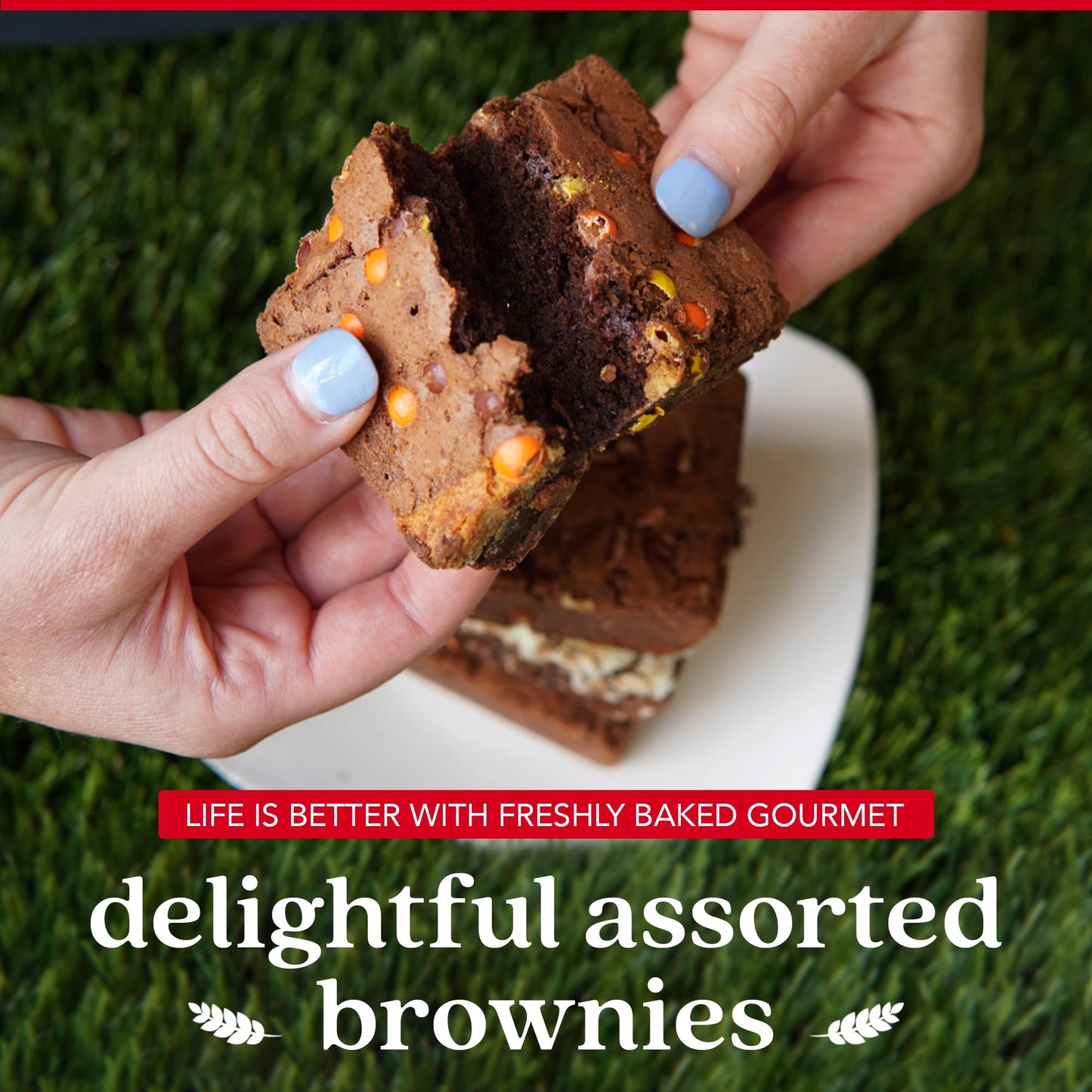 Davids Cookies Assorted Brownies in Carton Box | Enjoy Our Delicious  Great for Sharing Freshly-Baked Assorted Brownie Snacks While Bonding With Friends And Family - Single Pack