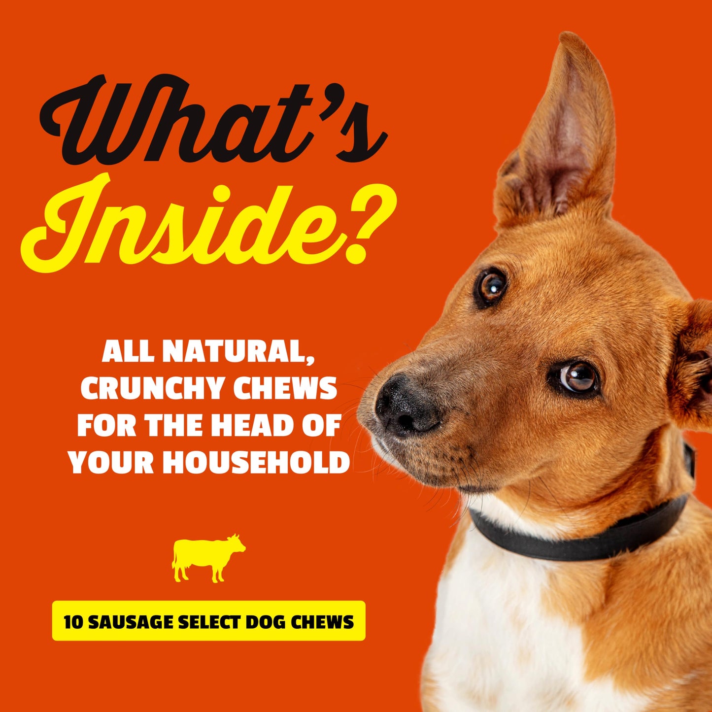 etta says! Crunchy Dog Chews - Rawhide-Free, All-Natural Ingredients - Sausage Flavor - 10 Pack