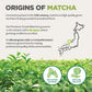 Naturalebio Enhanced Matcha Powder, 8Oz - Harvested In Japan - Usda Organic Matcha Green Tea Powder - Vegan & Vegetarian Friendly