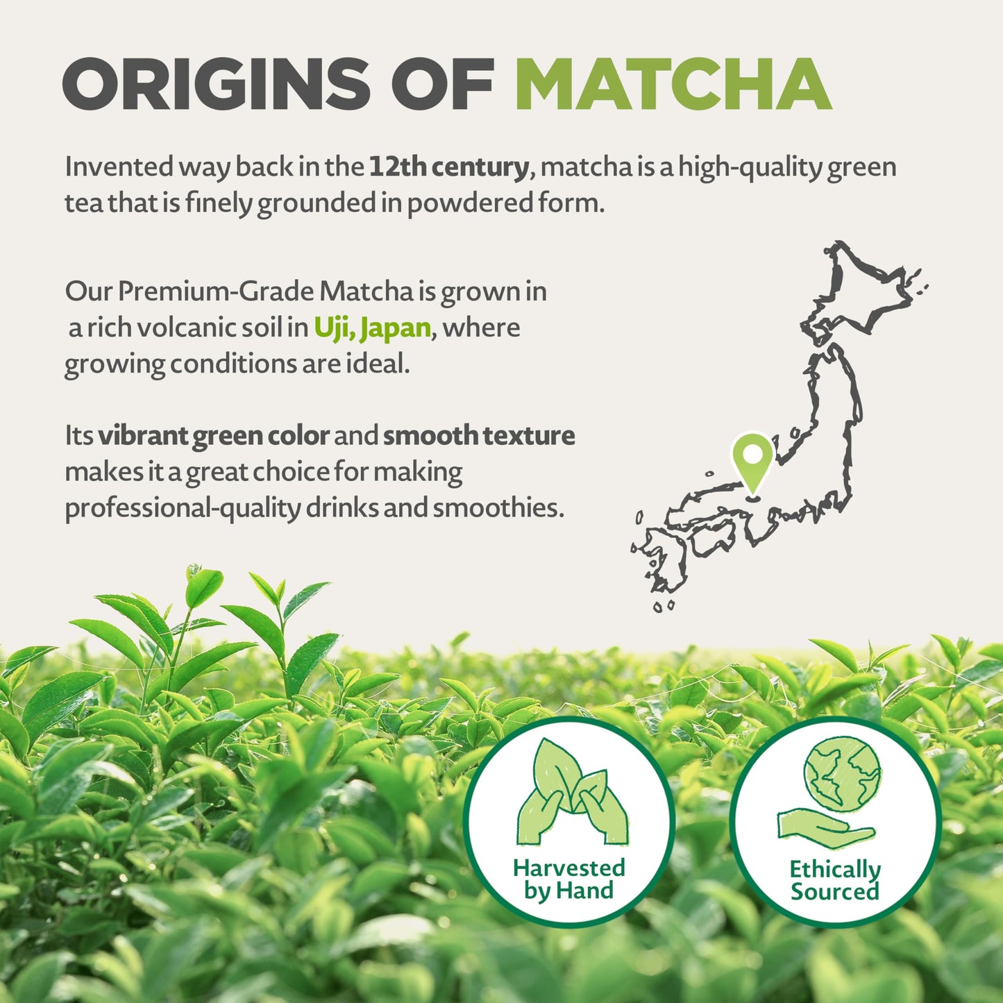 Naturalebio Enhanced Matcha Powder, 8Oz - Harvested In Japan - Usda Organic Matcha Green Tea Powder - Vegan & Vegetarian Friendly