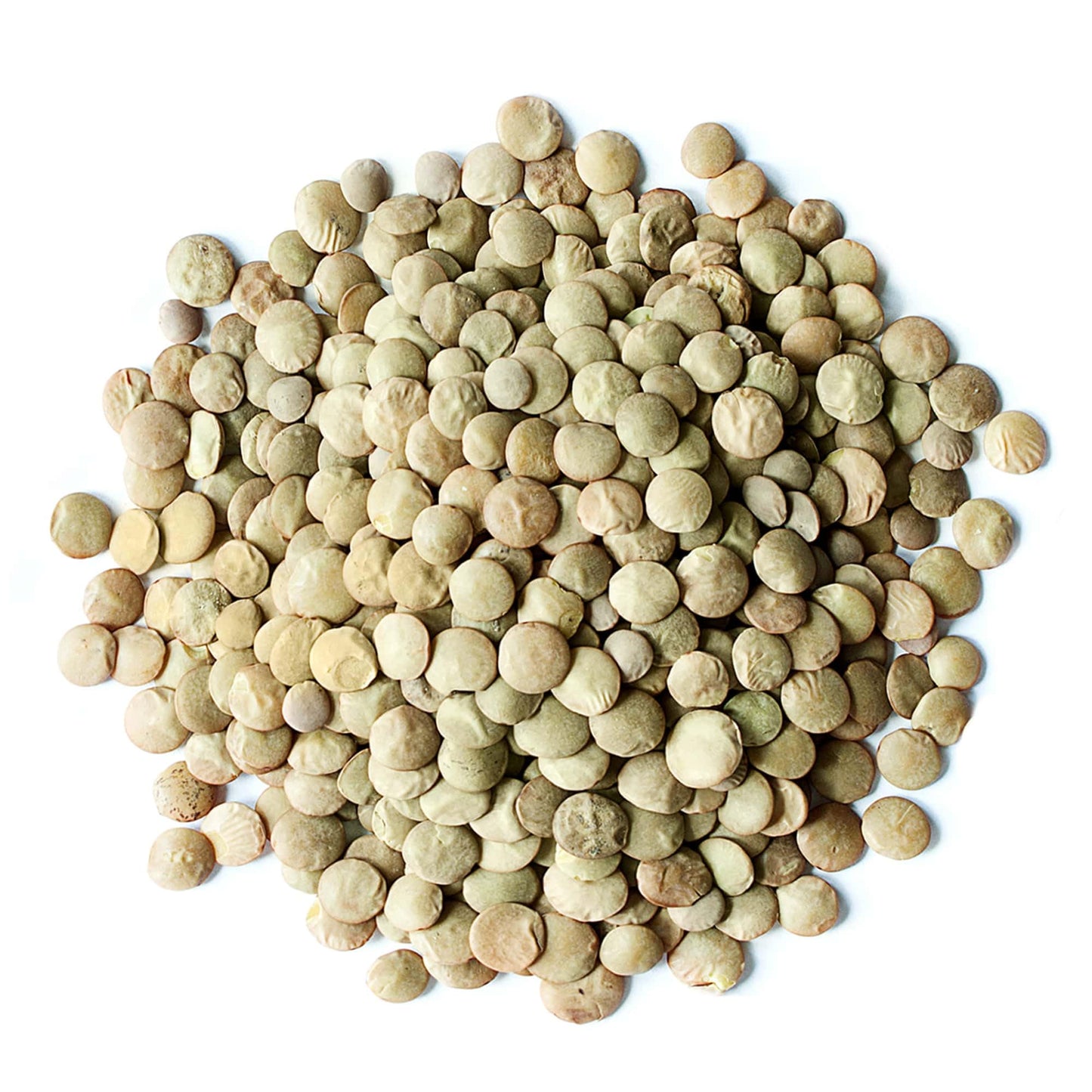 Food to Live - Whole Green Lentils, 2.5 Pounds Dried Raw Lentils, Sproutable, Kosher, Vegan. Rich in Dietary Fiber, and Protein.