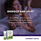 Host Defense Mycobrew Matcha - Matcha Drink Mix - Matcha Green Tea Powder That Includes Lion'S Mushroom - Drink Mix With Organic