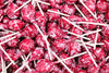 Red Raspberry Red Lollipops, Red Tootsy Pops, by Queen City Candy Cave,(1 Pound)