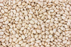 Fresh Cannellini Bean By RawJoy | Organic Fresh Cannellini Beans Bulk, 10 Pound (Pack of 1)