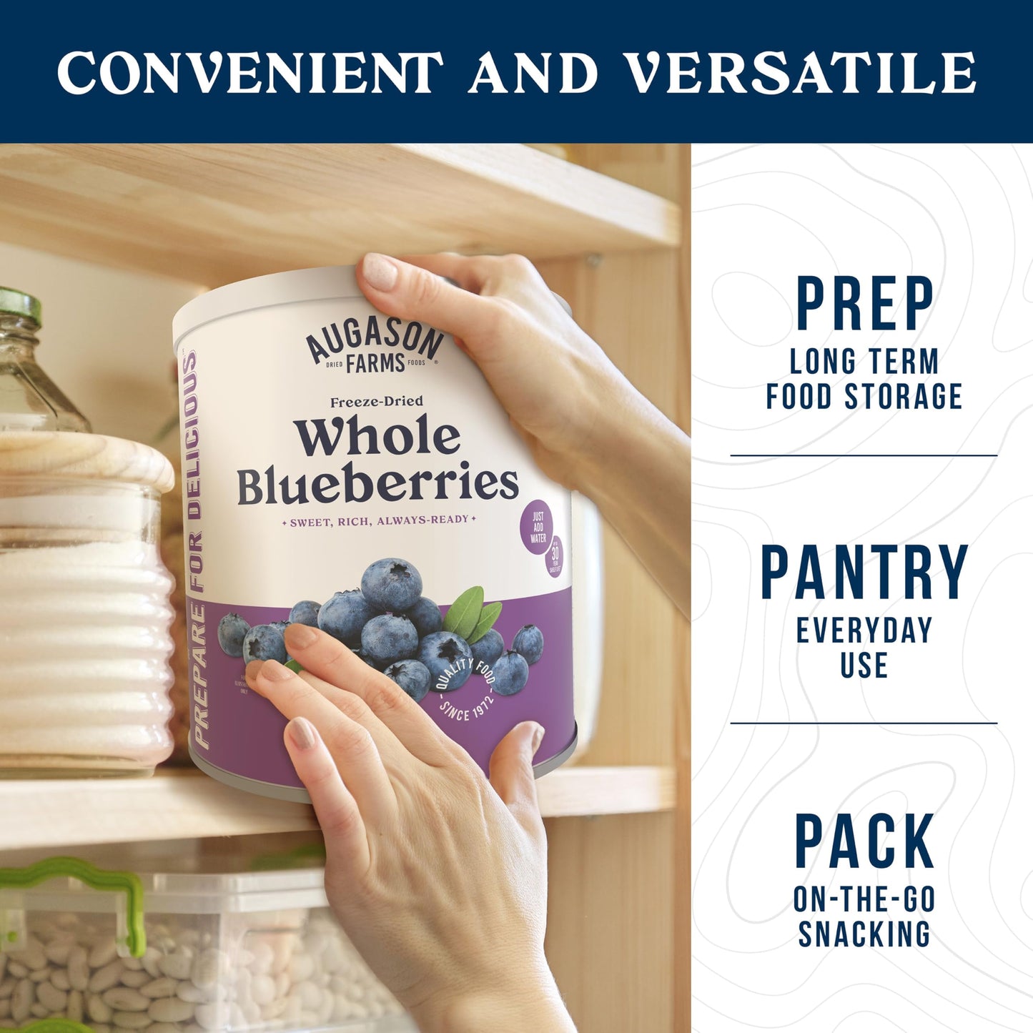 Augason Farms Dried Whole Blueberries Can – Dried Fruit For Baking & Emergency Food Supply – Dehydrated Camping Food With Long Shelf Life For Everyday Meal – 26 Servings