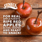 Seneca Caramel Apple Chips | Made from Fresh Apples | 100% Red Delicious Apples | Yakima Valley Orchards | Crisped Apple Perfect