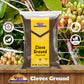 Rani Cloves Powder (Laung) Indian Spice 3.5Oz (100G) ~ All Natural, Gluten Friendly | Non-Gmo | Vegan | Indian Origin