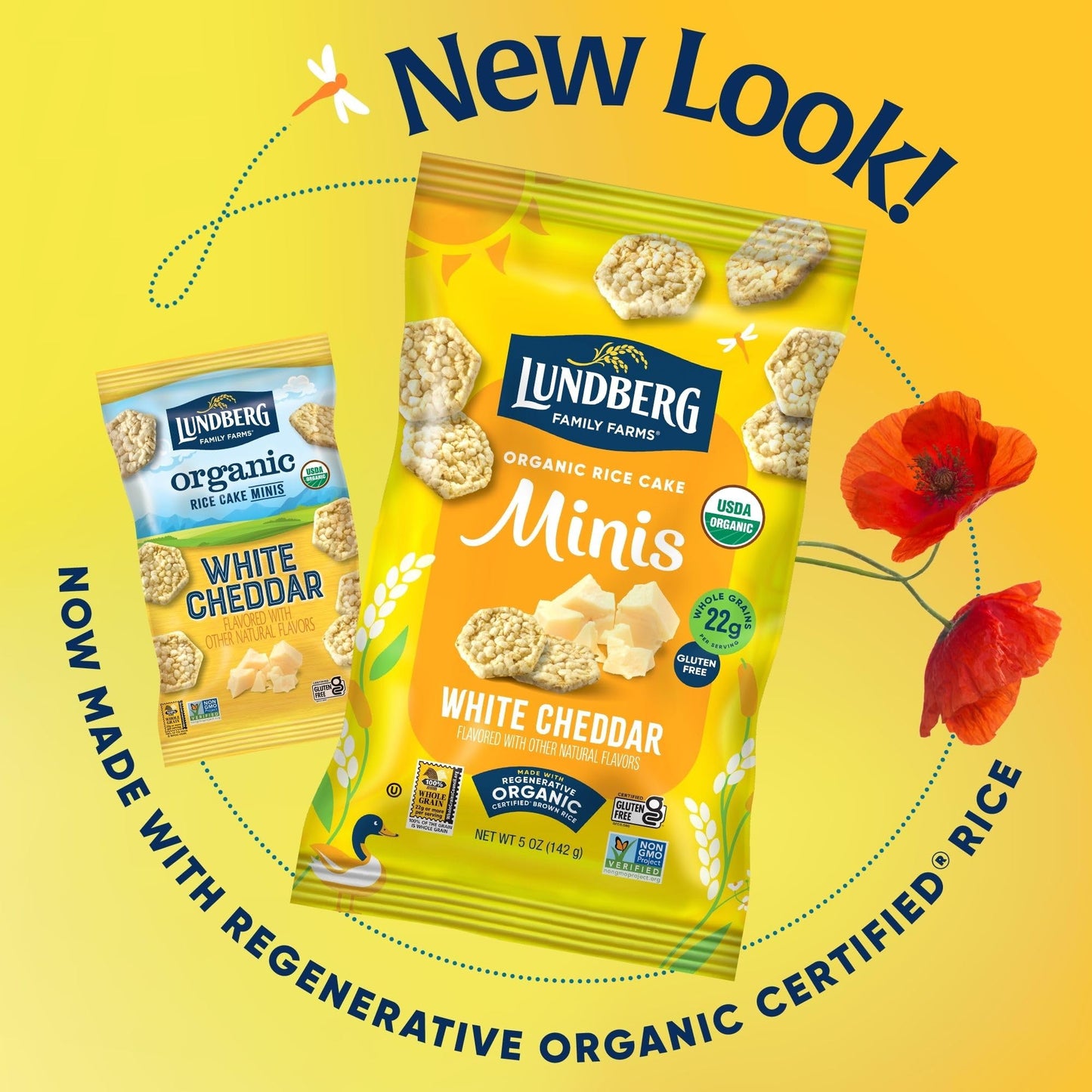 Lundberg Organic White Cheddar Rice Cake Minis, 5 Ounce, Gluten-Free, USDA Certified Organic, Non-GMO Verified, Whole Grain Brow