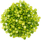 Certified Glyphosate Residue Free Green Split Peas | 15 Lbs | 100% Desiccant Free | Family Farmed In Washington State | Non-Gmo