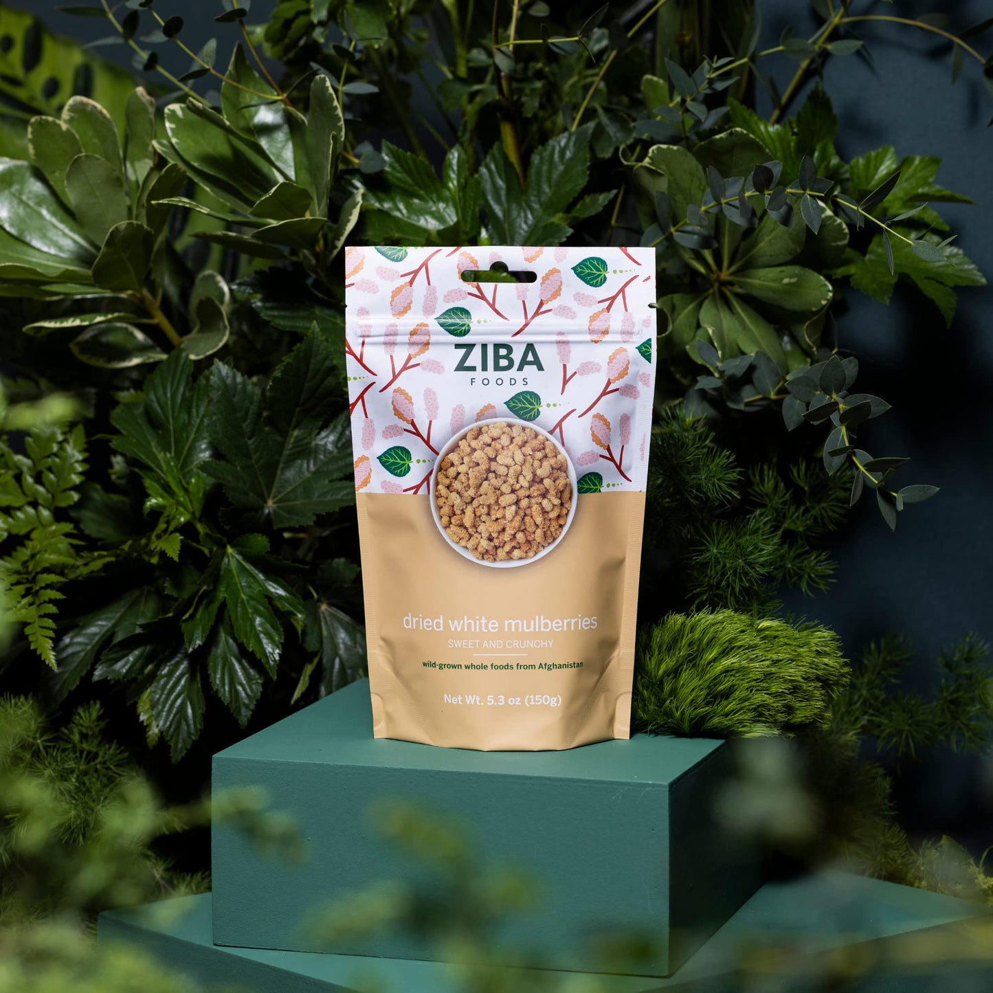 Ziba Foods Wild Grown Dried Mulberries | Non-GMO, Vegan, Whole 30 Friendly & Paleo, Dried Fruit | Wild Grown Superfood Naturally