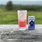 Regatta Pacific Sea Salt Club Soda, Zero Calorie Mixer, 7.5oz Mini Cans, Case of 24
