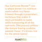 Planet Rice Bulk Sprouted Blonde Rice Bulk - Great For Bulk Rice Cooking - Gaba Rice Gluten-Free, Vegan, Paleo, With 64% More Fi