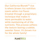 T Rice Bulk Sprouted Blonde Rice Bulk - Great For Bulk Cooking - Gaba, Gluten-Free, Vegan, Paleo, With 64% More Fiber - Soft And Chewy Texture - 22 Ounce (Pack Of 6)