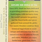 Stash Tea Tea Ginger Orange 18Bg