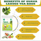 GEELOD Guava Leaf Tea Bags, 100% Natural, Caffeine-Free, Vegan, 50 Count, Guava Leaf Color