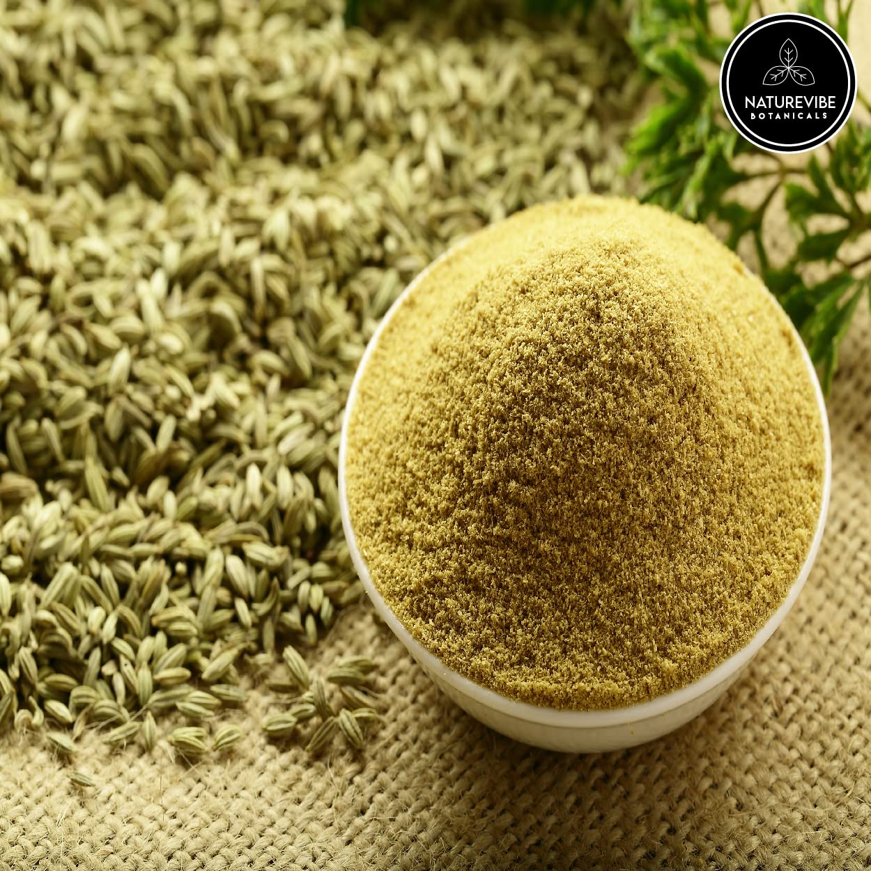 Naturevibe Botanicals Fennel Seed Ground Powder 5Lb | Foeniculum Vulgare | Indian Spice | [Packaging May Vary]