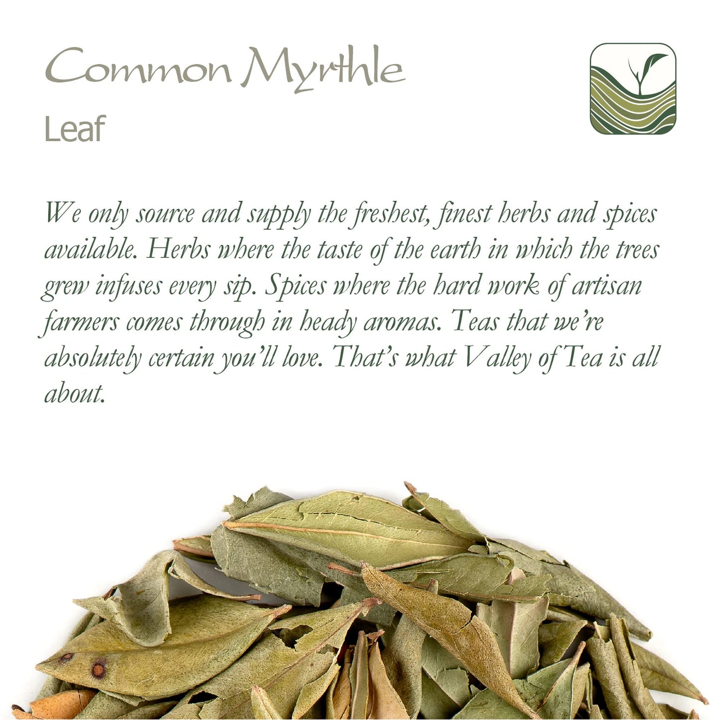 Myrtle Dried Herb Leaf - Loose Leaves From Common Myrtle Myrtus Communis Myrtle Dry Leaf Myrtle Leaf Myrtle Dry Leaves Myrtle Le