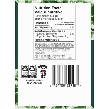 Dentyne Ice Bubble Gum, Spearmint, 12 Count {Imported From Canada}