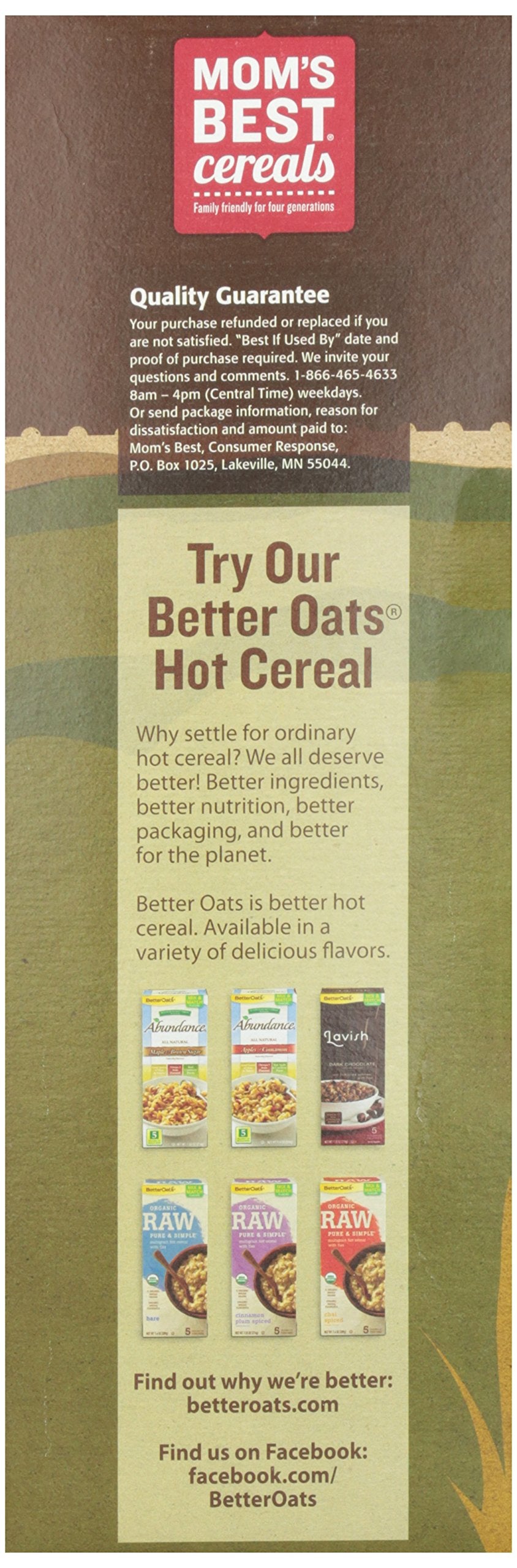 Cereal,Hny&Nut Toasty O'