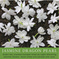 Magjo Jasmine Dragon Pearls, Rolled Green Tea 1 Lb