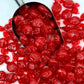 Fusion Sweets Cinnamon Discs Hard Candy - 1 Pound Bulk Individually Wrapped Red Candies - Great for Valentines Day & Holidays