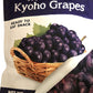 Freeze Dried Kyoho Grapes DJ&A, Ready to Eat Snack, NON GMO 3.52 Oz(100g) (Pack 1)