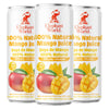 Elephant World 100% Natural Mango Juice | NON GMO | 10.8 oz (Pack of 6), Mango