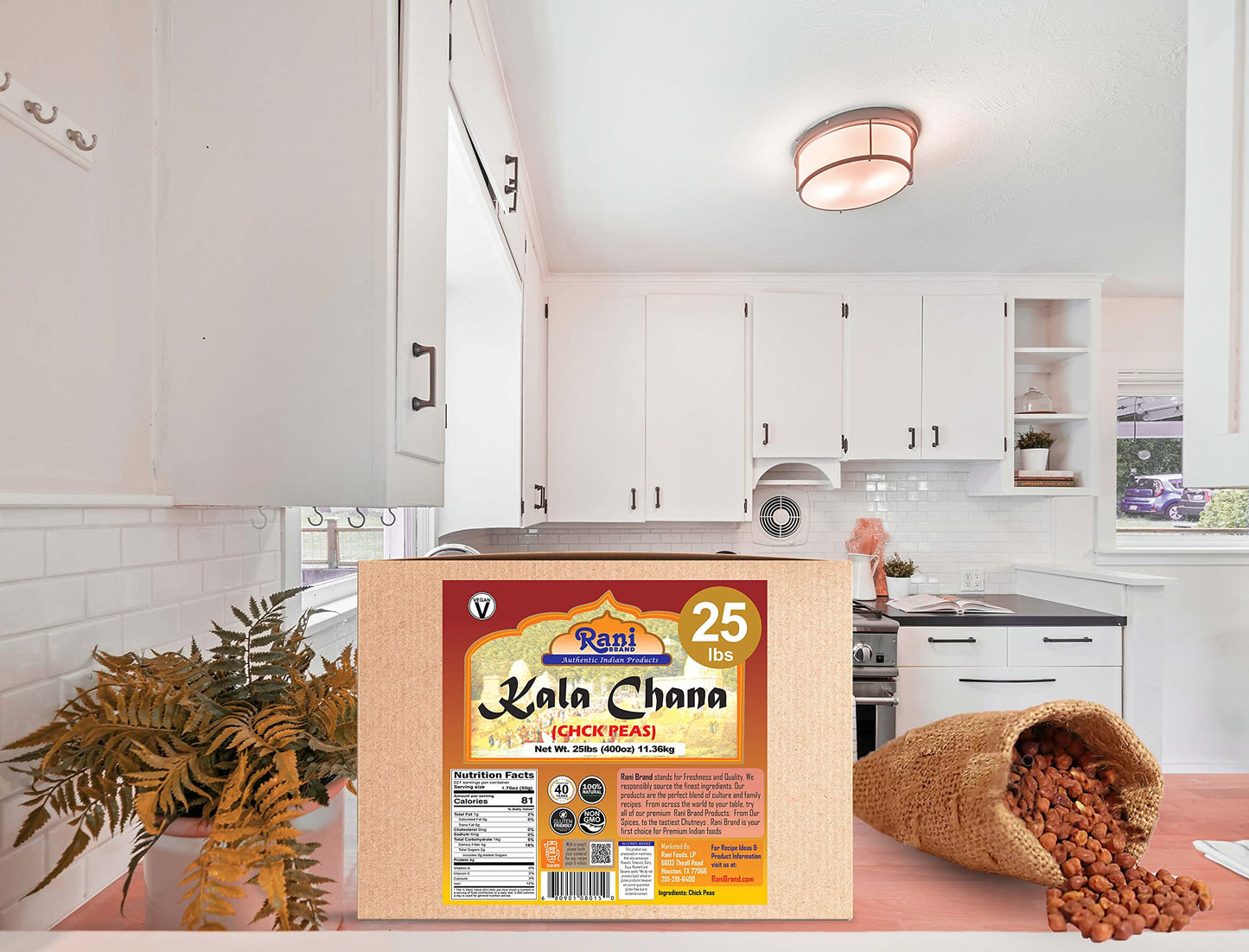 Rani Kala Chana (Desi Chickpeas Chana With Skin) 400Oz (25Lbs) 11.36Kg Bulk Box ~ All Natural | Gluten Friendly | Non-Gmo | Vega