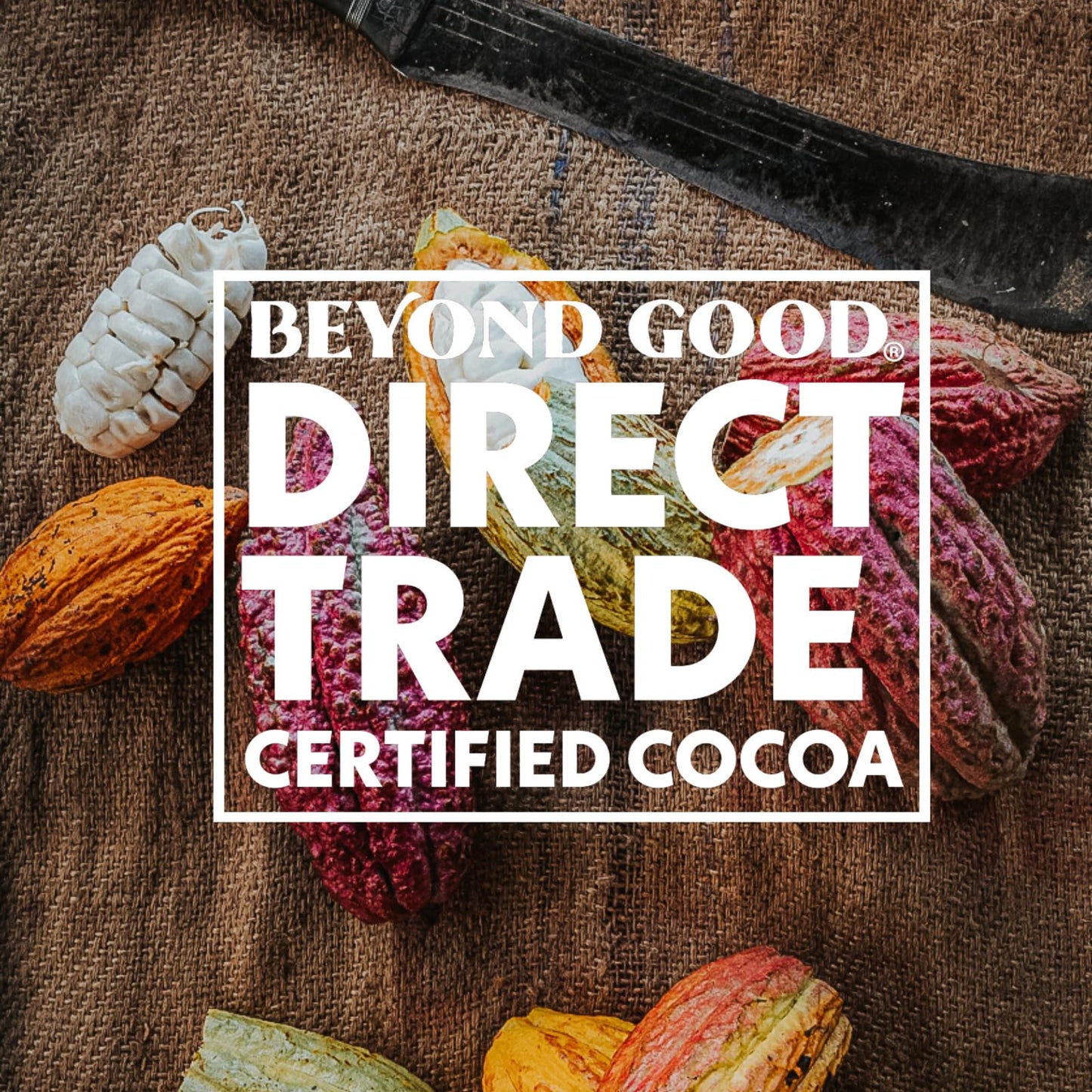 Beyond Good Organic 70% Madagascar Dark Chocolate Bar 2.64 Ounce