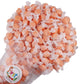 FirstChoiceCandy All Flavor Saltwater Taffy (Peach, 1 Pound)