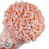 FirstChoiceCandy All Flavor Saltwater Taffy (Peach, 1 Pound)