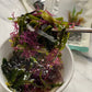 Assorted Seaweed Salad [ Korean Food ] Ready-To-Eat Salad Kit, 7 Kinds Of Seaweed, Korean Side Dishes Made Easy [ Salad Mix ] 7