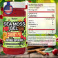Biolore Cherry Pie Sea Moss Gel 16 Oz - No Added Sugar, Vegan, Made In Usa - Wildcrafted Sea Moss Superfood With 92 Essential Vitamins - Ready To Use, No Prep Needed